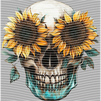 Country music-CM-1173